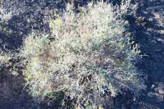 img-20200119-wa0177