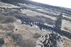 img-20200119-wa0196
