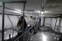 dsc04091