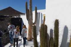 img-20200119-wa0385