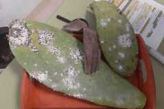 img-20200119-wa0437