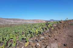img-20200119-wa0449