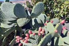 img-20200119-wa0450