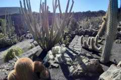 img-20200119-wa0451