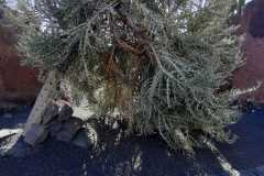 img-20200119-wa0452