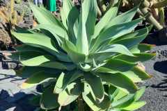 img-20200119-wa0464