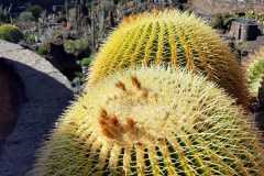 img-20200119-wa0465