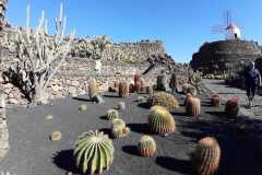 img-20200119-wa0471