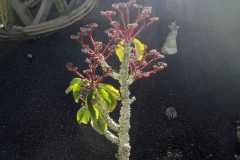img-20200119-wa0473