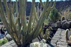 img-20200119-wa0474