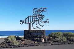 img-20200119-wa0498