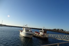 dsc04430