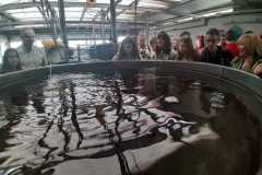 img-20200119-wa0541