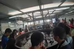 img-20200119-wa0544