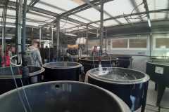 img-20200119-wa0545