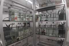 img-20200119-wa0547