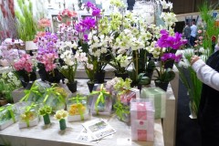 image9551_1