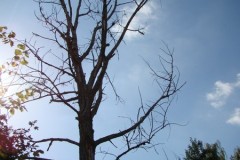 dsc01301
