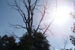 dsc01303