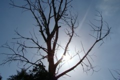 dsc01304