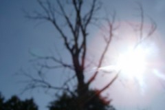 dsc01305