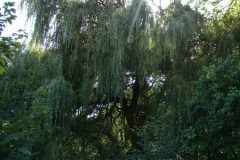dsc01310