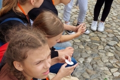 286129139_832745761035762_4437695895762105129_n
