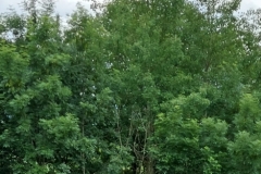 286150427_341120198103824_2061552528403294431_n