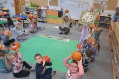 44040223-b1c7-4229-bf4a-4164abf1aa92