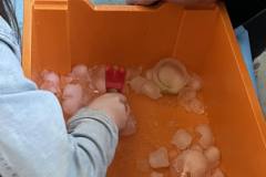 486608772_646708154885633_8296162807291833404_n