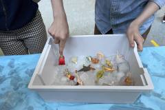 486869188_646707931552322_8487468977992158832_n