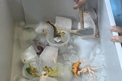 486955875_646707661552349_4116350941450901429_n