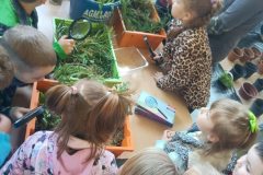 492301950_669398135949968_8267113200473513178_n