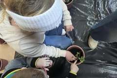 492451359_669396932616755_805875605068036313_n