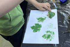 492495781_669397239283391_7419771982052592327_n