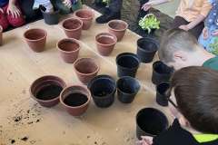 492499081_669398142616634_5281514659395669613_n