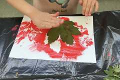 492507287_669397185950063_384808882363402903_n