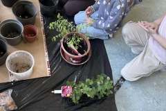 492690140_669397975949984_5781447978225553809_n