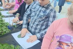 492768576_669397945949987_4920270204566141233_n