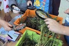 493315546_669394785950303_6827953016814539367_n