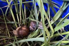 492953172_669397449283370_426646106687844926_n