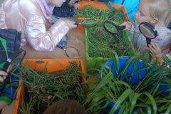 493106933_669397139283401_8087034844183789512_n