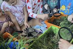 494020521_669398092616639_4140014368744338446_n