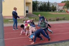 310376584_1056894568306901_3532531947307783749_n