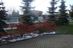 5_1