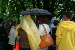 dsc06294_800x600