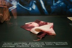 dsc06339_800x600