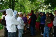 dsc06295_800x600