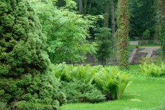 dsc06311_800x600