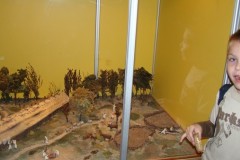 dsc07011_800x600